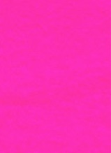 Guest_veltedollie