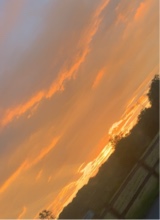 Guest_graciemae27