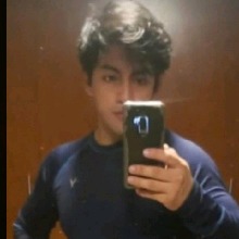 avpic