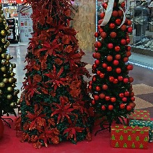 Guest_MariaCortez2