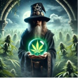 TXOG420