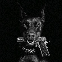 Guest_Tommygun3