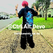 Guest_Alex283737