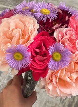 Guest_rosewi