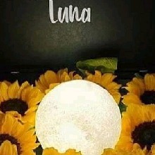 Guest_LunaBunny3