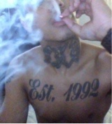 Guest_chems4