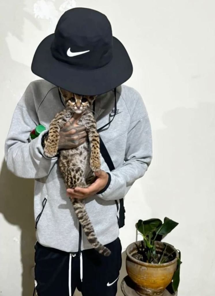 Guest_dareckjhanziel2