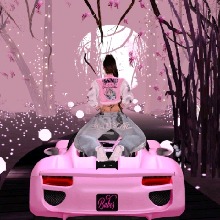 Guest_Canariaa5