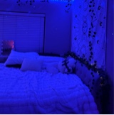 Guest_alannys19