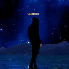 Guest_Unguided