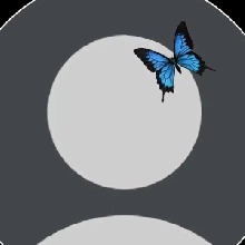 Guest_Larissa177110
