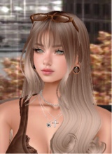 Guest_Lily36091