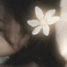 Guest_Jinsunmi107
