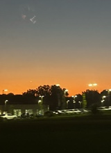 Guest_Emery250819