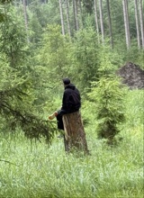 Guest_viktor532821
