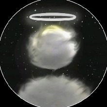 Guest_Xoel3