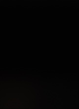 Guest_NAWO2