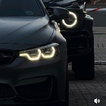 Guest_dangerouslightye6525