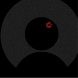 Guest_Midnight240746