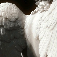 Guest_XVII0