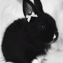 Guest_lollypopbaby