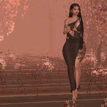 Guest_pau605326