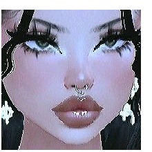 Guest_Lisa237961