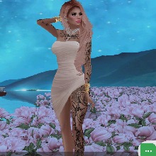 Guest_StargirlPopular
