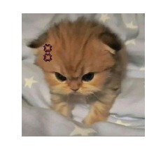 Guest_scrawnygreenyell0ea7