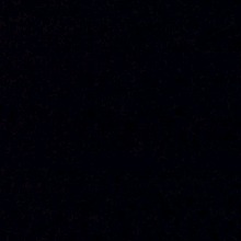 Guest_Camm690464