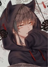 Guest_Kevin73404