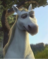 BastianDahl