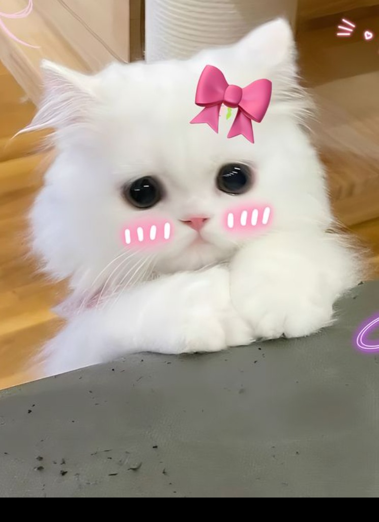 Guest_lLizaa