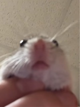 Guest_AmberLynn68