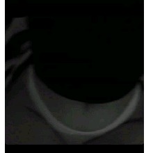 Guest_Marisol1123