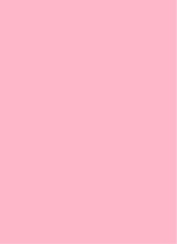 Guest_Ari890275