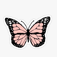 Guest_Selina285435