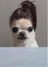 hauntinglymegan