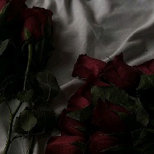 Guest_Maha972311