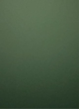 Guest_leylaaaa62