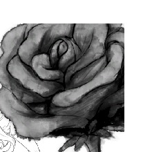 Guest_lavenderbarium25e3