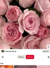 Guest_Rose337230