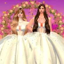 Guest_Insnia4