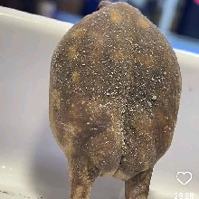 Guest_Thickmammiey