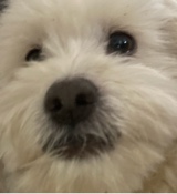 Mimiii04