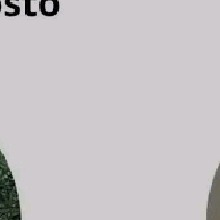Guest_kaue85e7