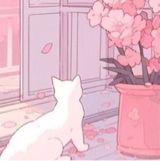Guest_Lucy524387