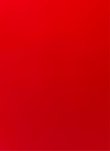 Guest_sarabolzzani