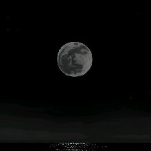 Guest_Lumi666870