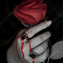 Guest_SafiraS67